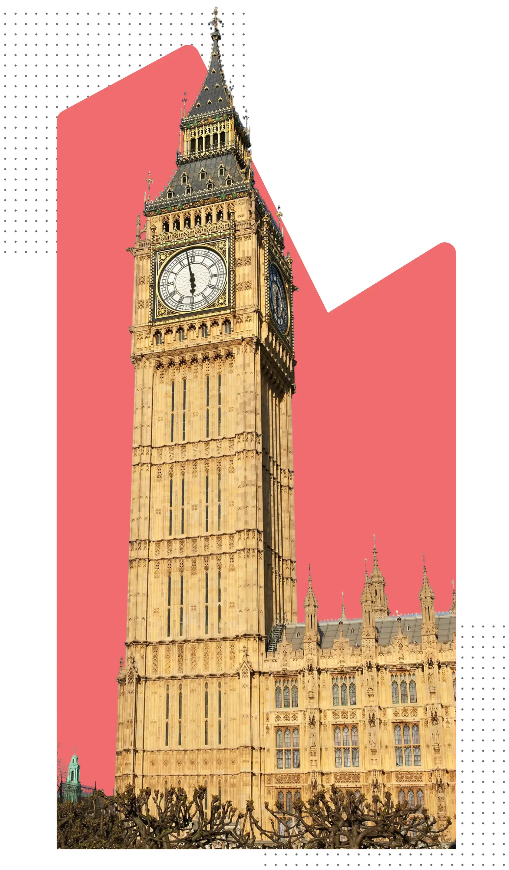 Who we are illustration